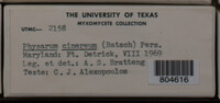 Image Associated With the Occurence